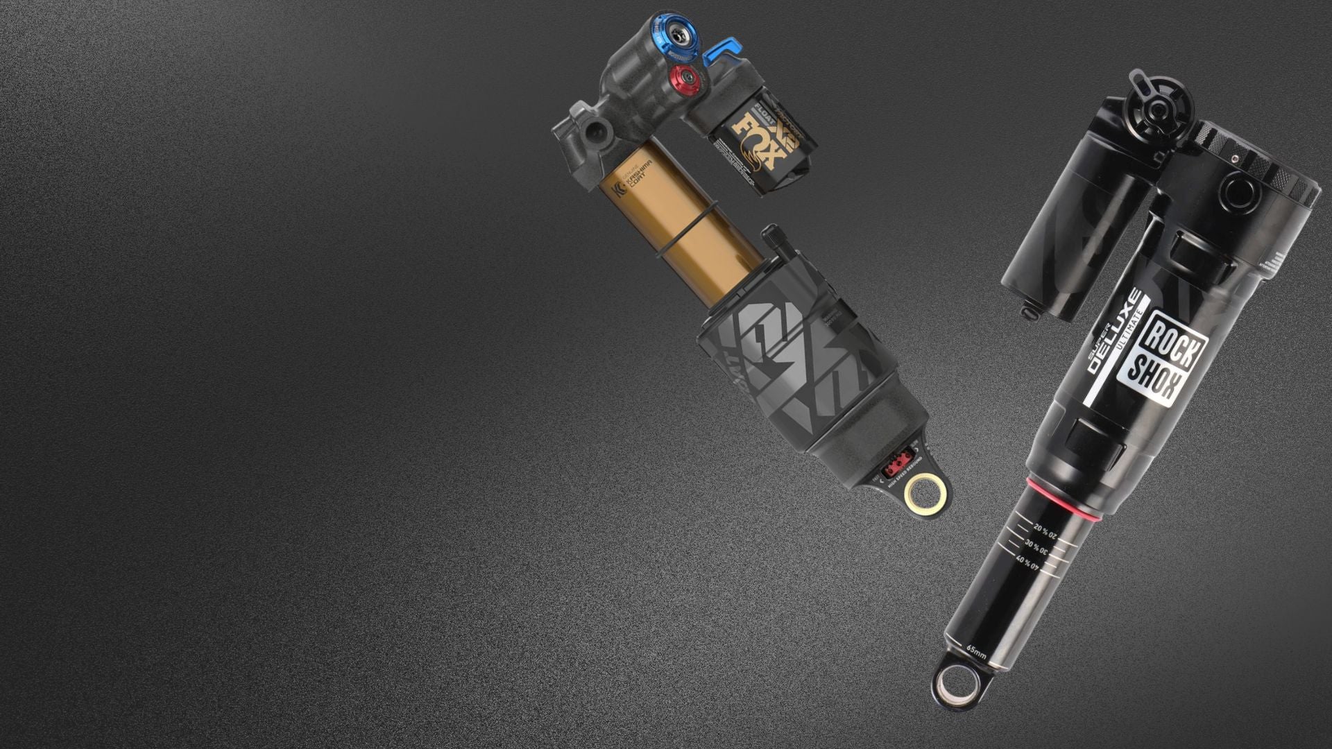 Mountainbike-Federdämpfer von Fox und RockShox für Enduro, Trail und MTB Suspension Setups vor schwarzem Hintergrund