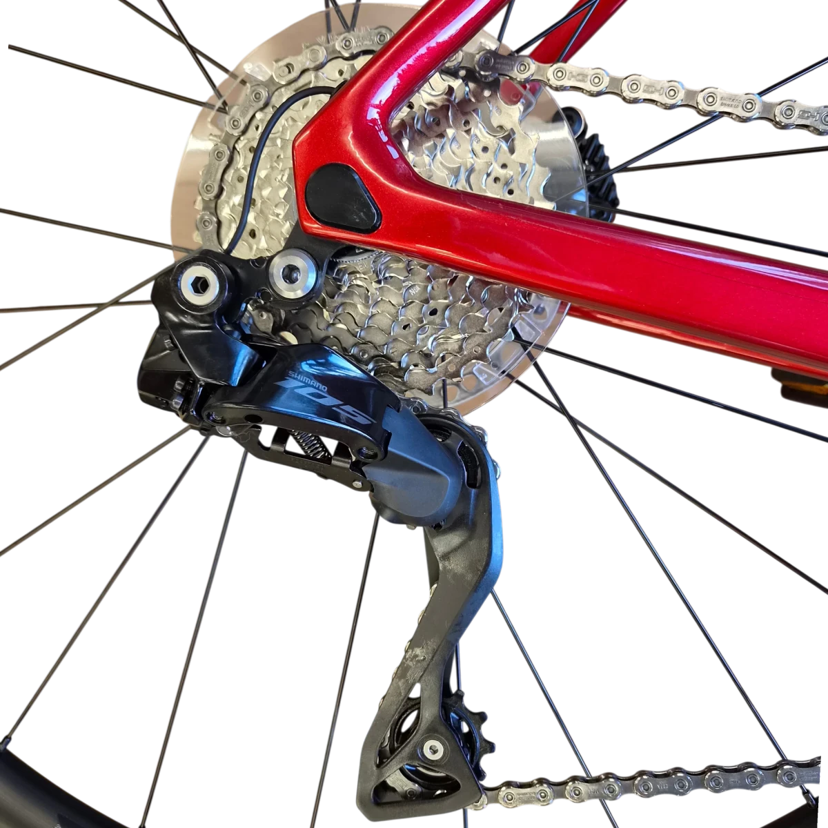 Colnago V4 Carbon Rennrad | Shimano 105 Di2 2x12-fach | Fulcrum Racing 600 | Rot - RAAAD.de