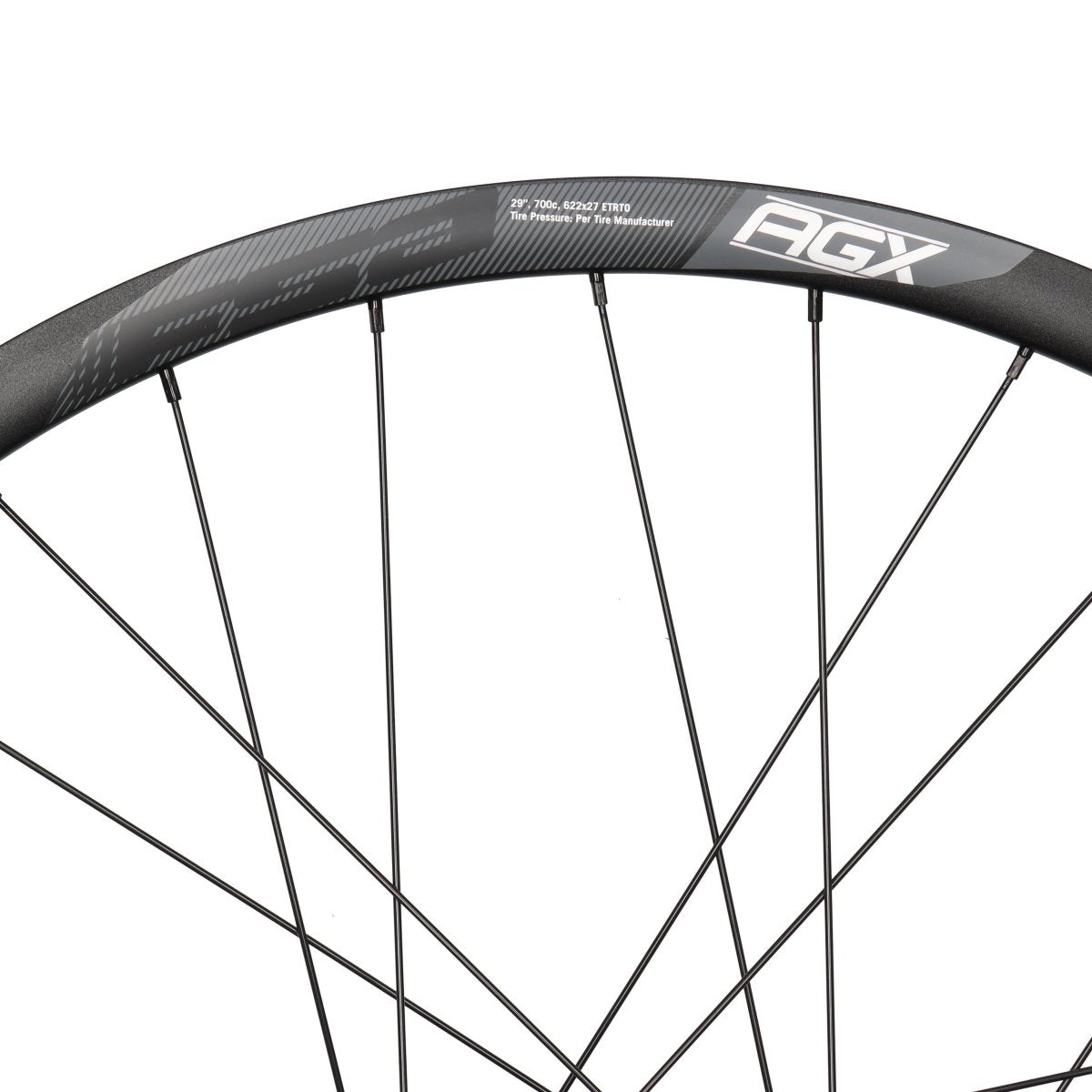 FSA AGX Alloy | 28 Zoll Laufradsatz mit Motor | Disc 6-Loch | X-Series X35-M1C-EU Hinterradantrieb - RAAAD.de