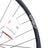 Inkl. 6-Loch Adapter: DT Swiss Laufradsatz E 1900 Spline 30 29 Zoll Centerlock Boost - RAAAD.de